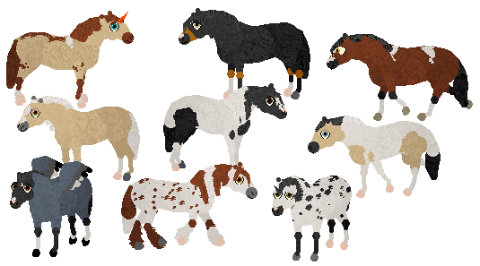 petz 5 horses